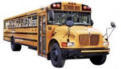 school bus driver
