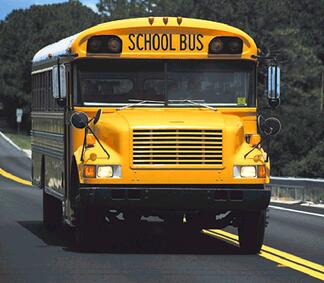 School Bus Driver