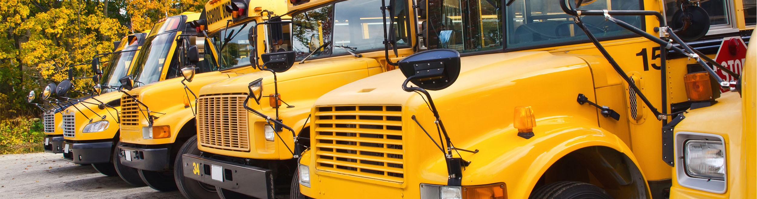 School Bus Routing Software Resources