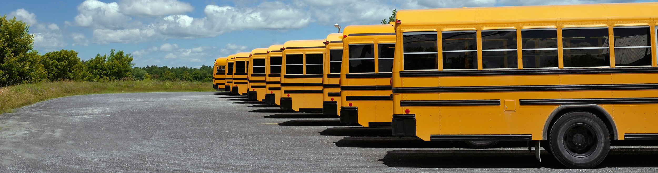 Transportation Management Solutions Support