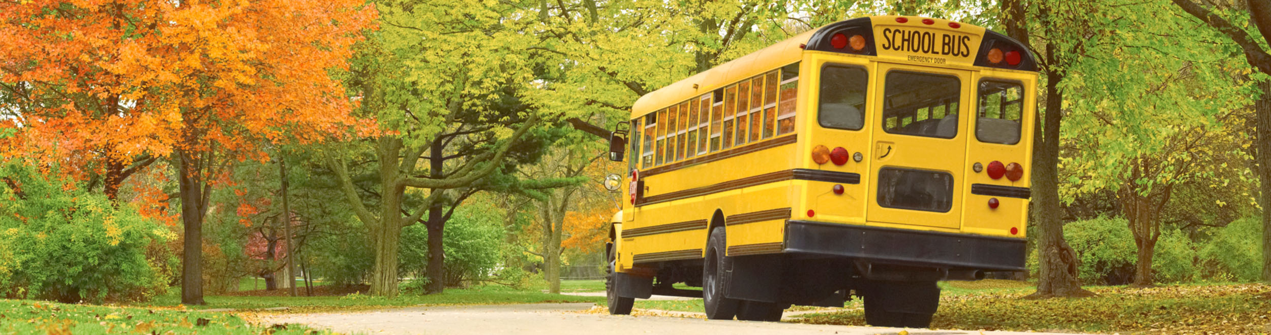Transportation Management Solutions