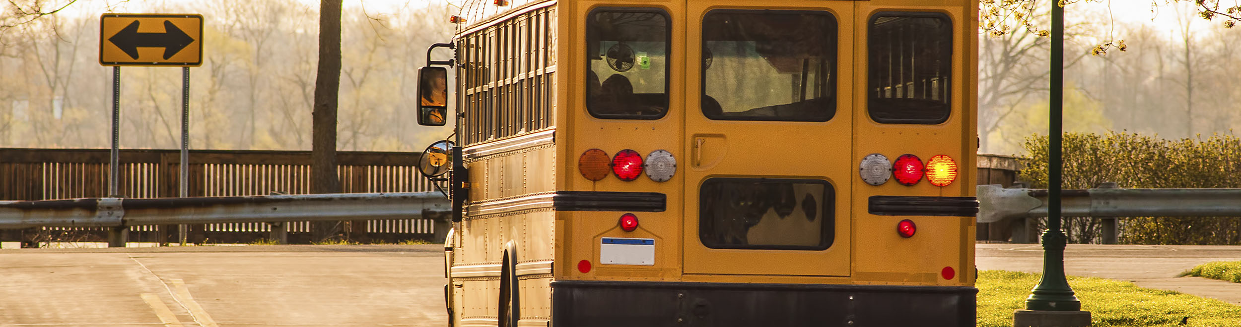 school bus routing software