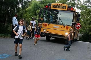 school bus driver
