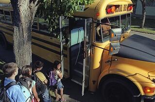 school bus driver