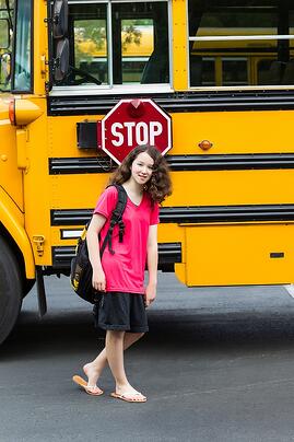 school bus routing software