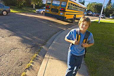 school bus routing software