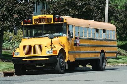 school bus driver