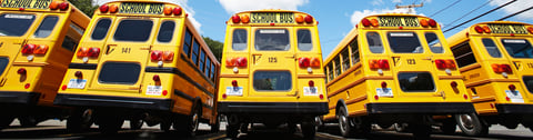 school-bus-routing-software