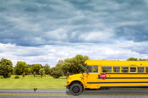 School Bus Transportation (1)