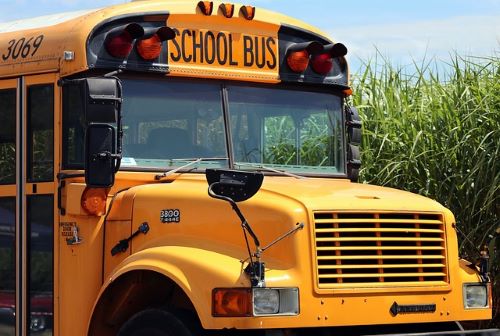 school-buses-drivers-1