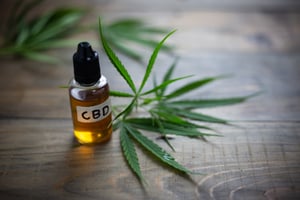 CBD oil and school bus drivers