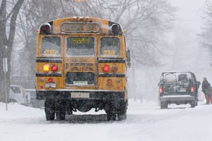 School Bus Drivers