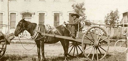 history of school buses