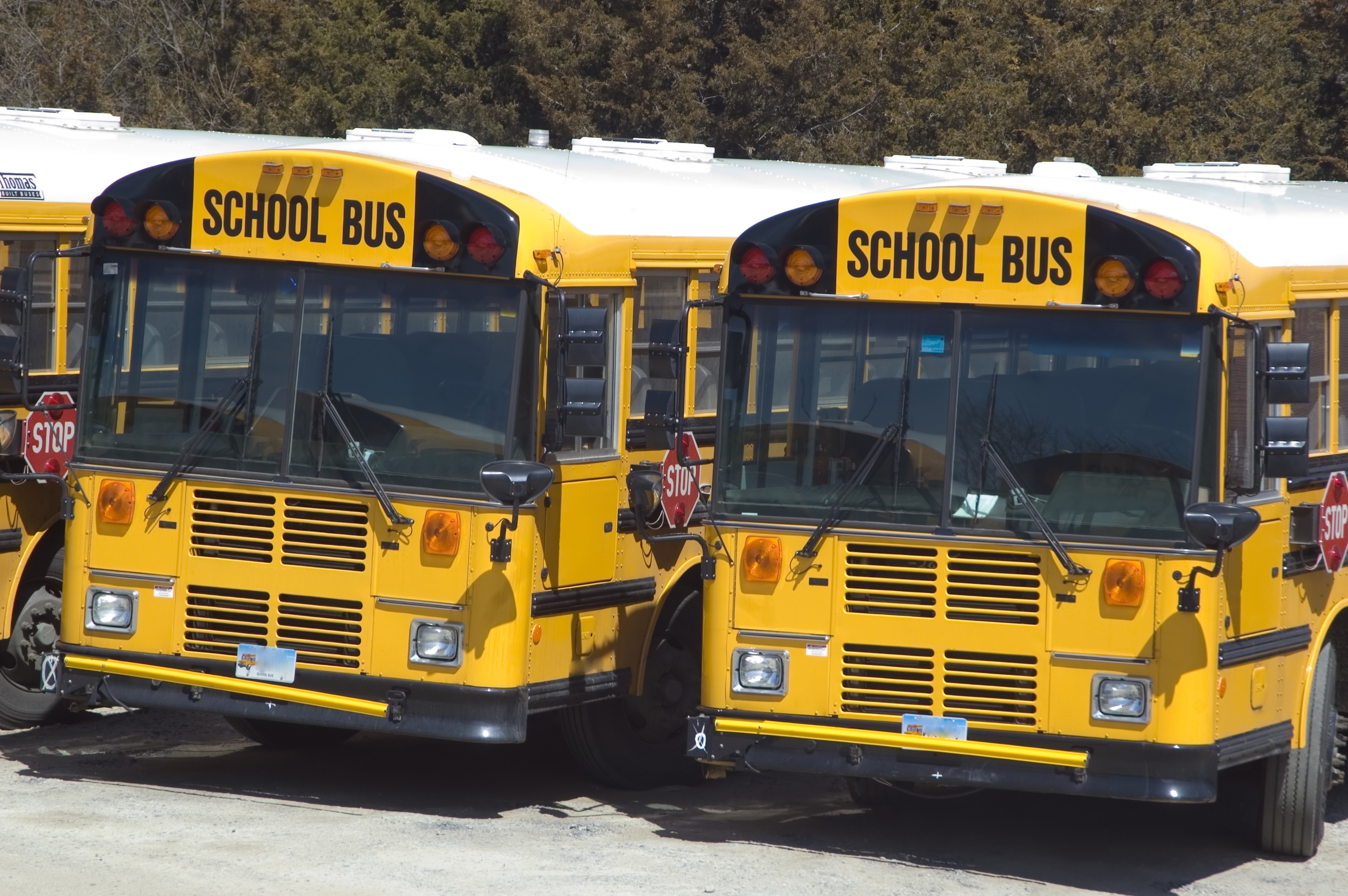school bus fleet