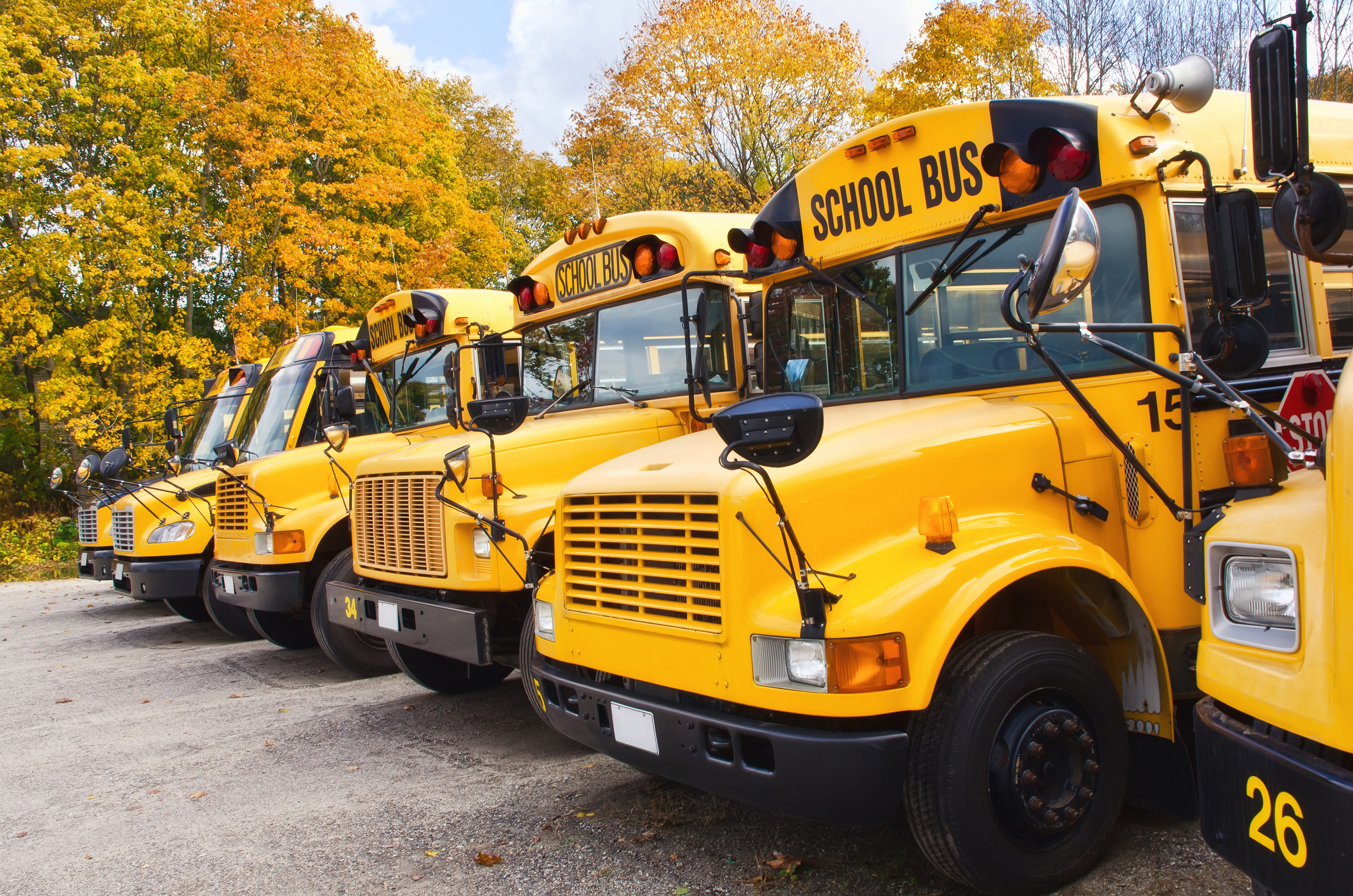 electric school buses