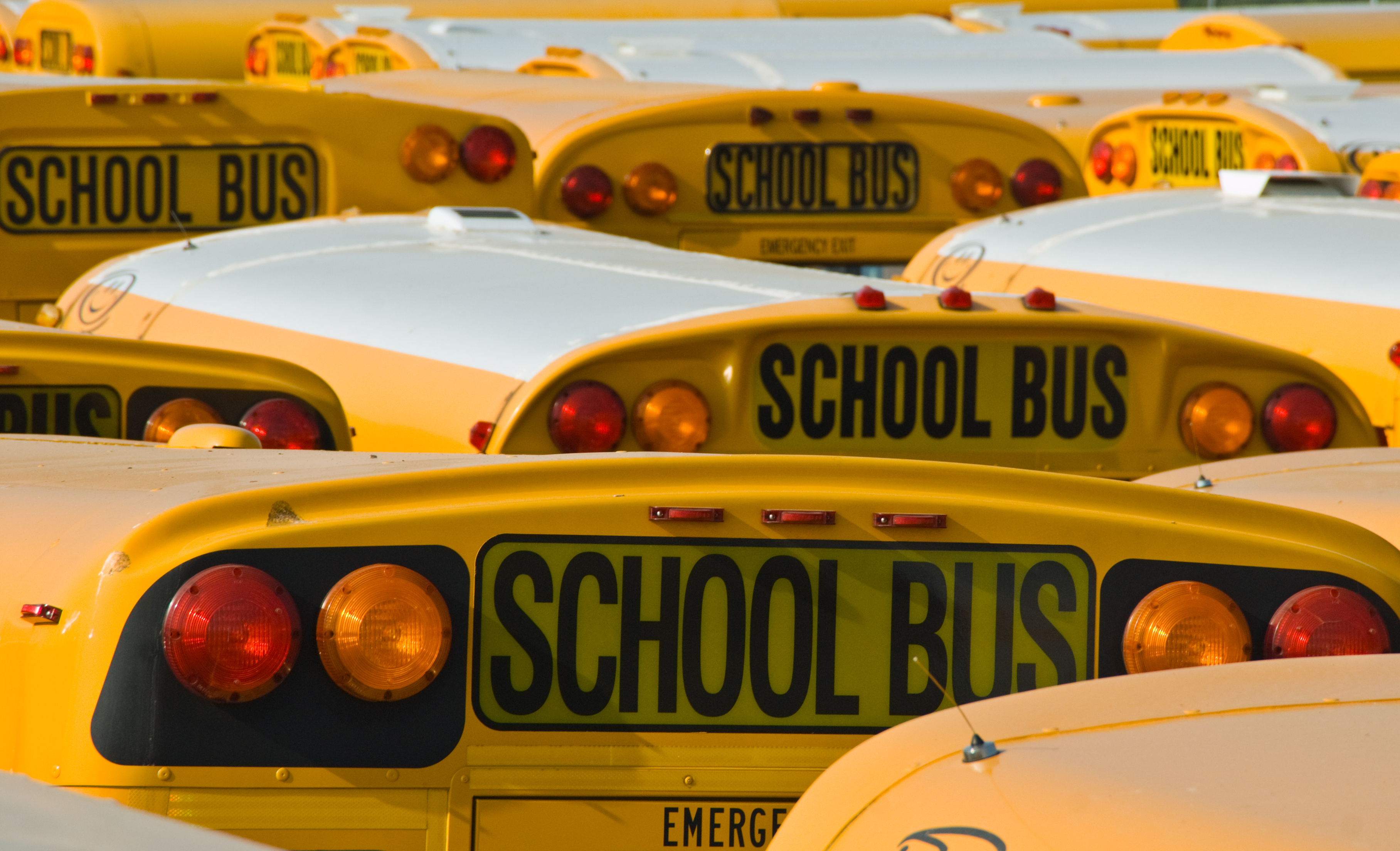 Electric School Buses