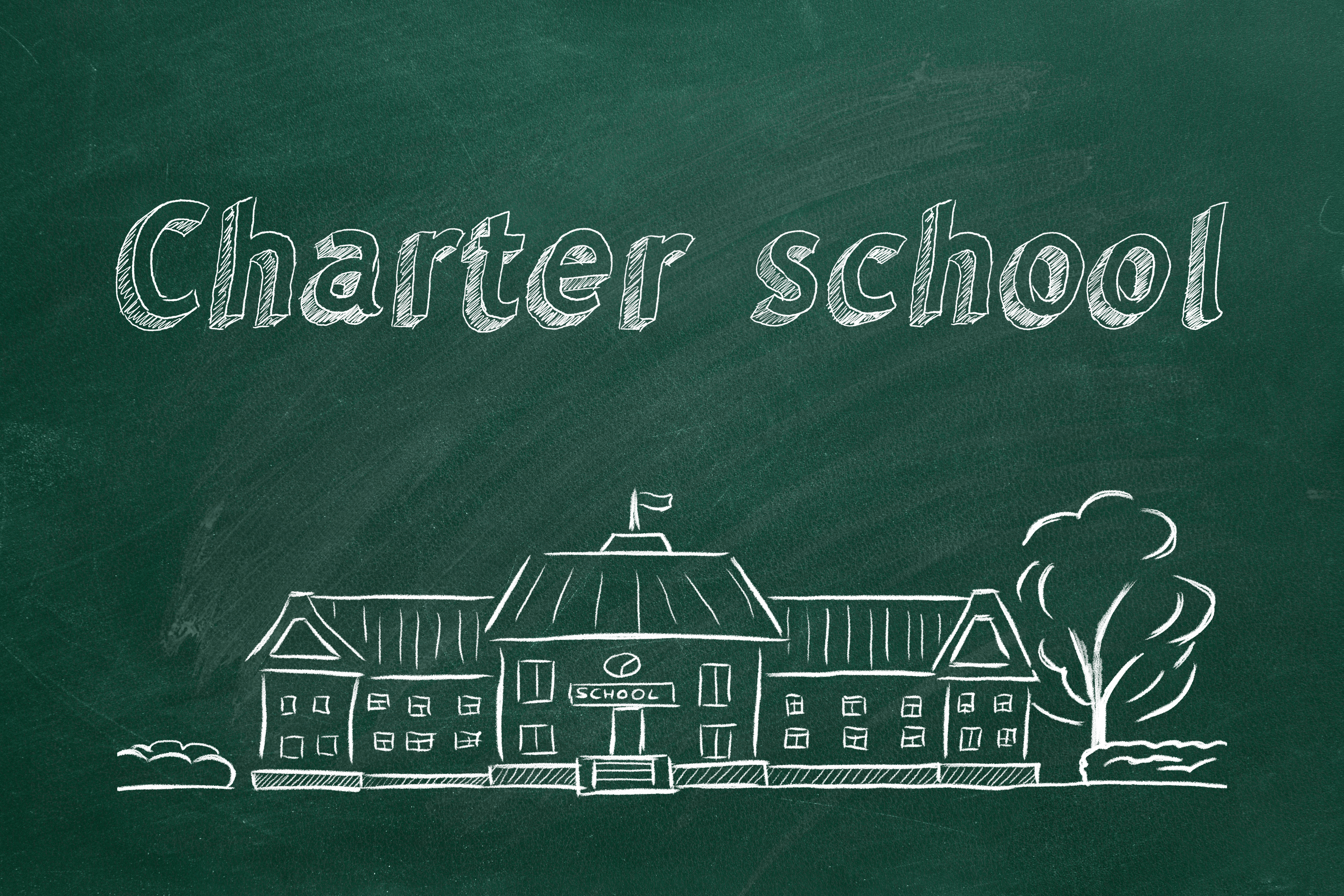 Charter School Reform